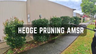 Hedge pruning AMSR gardening hedgetrimmer youtube [upl. by Nahtnahoj282]