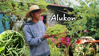 cooking pinakbet a alukon baeng bungonbirch tree flower Ilocano taste life  kabagis [upl. by Asilef]