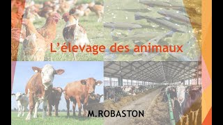 6ème Lélevage des animaux SVT [upl. by Garnes]