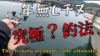 【ダンゴ釣り】この釣り方は２度とできないな！今年初の年無しチヌを漁師さんに釣らせてもらったWW [upl. by Nerred480]