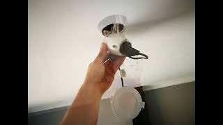 LED Downlight installation and replacement [upl. by Ring531]