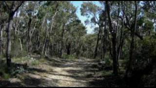 Lerderderg State Park  Blackwood Range Track Southern portion [upl. by Donadee]