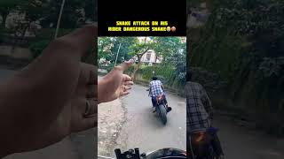 Snake Attack On R15 Rider Dangerous Snake 🤬🤬 youtubeshorts shorts trendingshorts [upl. by Kast]