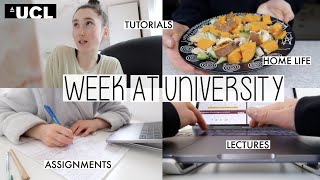 A WEEK IN MY LIFE AS AN ONLINE UNIVERSITY STUDENT MASTER’S AT UCL [upl. by Robson]