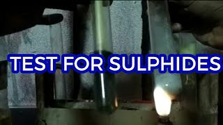 Test for sulphide ions [upl. by Sokcin]