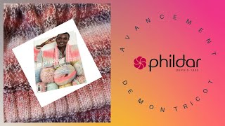 AVANCEMENT DE MON TRICOT LE PULL PHILDAR [upl. by Thalia307]