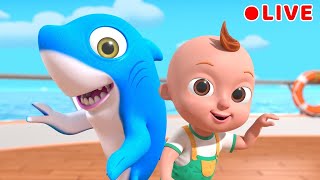 Baby Shark  more Nursery Rhymes  Beep Beep Nursery Rhymes amp Baby Songs [upl. by Claiborne319]