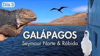 Explorando Islas Remotas de Galápagos 🌎 [upl. by Luhar814]