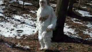 Abominable Snowman Yetti found in the Himalaya mountains or is it a Halloween Costume [upl. by Kettie]