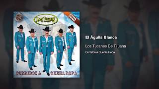 El Águila Blanca  Los Tucanes De Tijuana Audio Oficial [upl. by Nawiat]