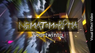 Nematomorpha  fourtwnty  Visual effect video [upl. by Yllor]