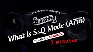 What is SampQ mode Sony A7iii A7riii A9 [upl. by Airdnaz]