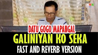 GALINIYAN KO SEKA  GOGO MAPANGAL  FAST AND REVERB VERSION 2024 [upl. by Mallorie]