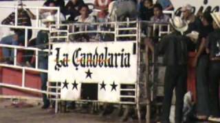 Rancho la Candelaria y Cruz de la Sierra en Chilpancingo que torazos el Bracero y el Pantera [upl. by Gnuy]