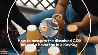 How to measure the dissolved CO2 level of a beverage in a KeyKeg [upl. by Nyram]