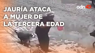 Jauría de perros atacan a mujer de la tercera edad le mordieron el brazo y lasp iernas en Querétaro [upl. by Ecirpak678]