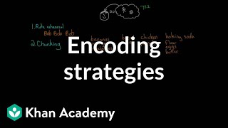 Encoding strategies  Processing the Environment  MCAT  Khan Academy [upl. by Ahswat]