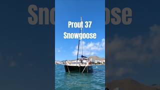 Prout 37 Snowgoose Sailing Catamaran for Sale [upl. by Fennie]