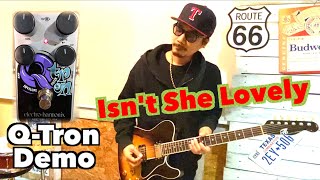 Nano Q Tron Isnt She Lovely  Stevie Wonder cover ElectroHarmonix Envelope Filter Pedal Demo [upl. by Nabru]