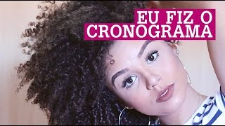 CRONOGRAMA CAPILAR o que é e como fazer  por Ana Lídia Lopes [upl. by Bijan]