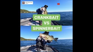 CRANKBAIT vs SPINNERBAIT [upl. by Ennayar]