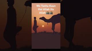 Woh Tanha Kaun Hai Allah Hu Allah🕋 wotanhakonhai islamicsong shorts viralshort [upl. by Beckman]