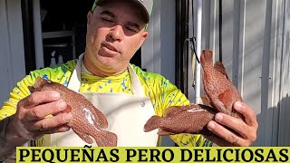 Cabrilla Cherna Como Preparar este Pescado en minutos [upl. by Adara]