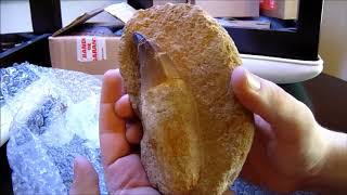 Kem Kem Jurassic Dreams MASSIVE Dinosaur Fossil UNBOXING [upl. by Lalo]