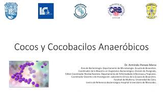 Bacterias Anaeróbicas Cocos y Cocobacilos [upl. by Ansilma]