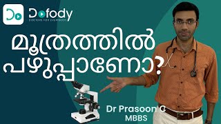 മൂത്രപ്പഴുപ്പ് എന്താണ് 💧 Do You Know the Symptoms amp Treatment of Urine Infection 🩺 Malayalam [upl. by Dranel]