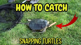 HOW TO Catch GIANT Snapping Turtles In YOUR Pond [upl. by Fasano620]