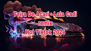 Feira De Acari  Laia Cadi remix  HOT DOUYIN 2024 [upl. by Roumell]