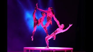 Alis lo show con i migliori Artisti dal Cirque du Soleil a gennaio 2018 a Firenze [upl. by Redienhcs600]