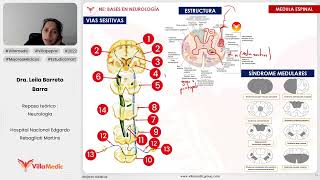 BASES EN NEUROLOGÍA PARTE 4  NEUROLOGÍA  VILLAMEDIC [upl. by Ahseenal]