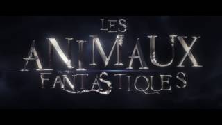 LES ANIMAUX FANTASTIQUES  TV Spot  Français  VF  French [upl. by Christoph]