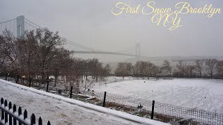 First Snow Bay Ridge Brooklyn NY January 2024 [upl. by Delos]