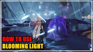 How to use Blooming Light to Destroy Oozing Concretions amp Dark Mud Genshin Impact [upl. by Derag]