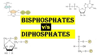 bisPhosphate vs diPhosphate  Dr Ghanshyam Jangid [upl. by Tterej602]