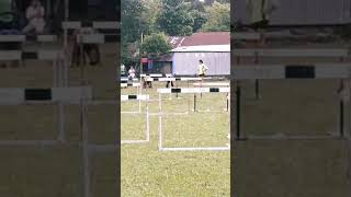 3 hurdles practice [upl. by Ellennahc]