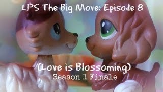 ♥ LPS The Big Move Episode 8 Love is Blossoming SEASON 1 FINALE [upl. by Sharyl]