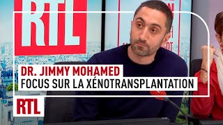 Focus sur la xénotransplantation lavenir de la médecine [upl. by Ahseinar]