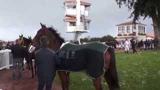 Machecoul Courses hippiques Mars 2014 [upl. by Aisanahta]