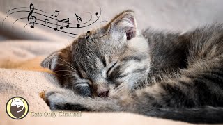 Cat Music  Relaxing Harp Music amp Cat Purring Sounds  Stress Relief Anxiety Relief [upl. by Ikik]