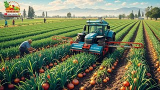 How US Farmers Are Revolutionizing Onion Farming to Feed the World [upl. by Hollah151]