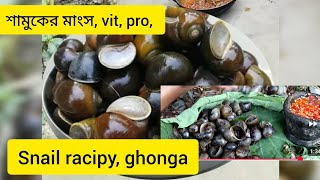 নতুন একটা রেসিপি শামুকের মাংস snail meat ghonga kaise pakaye blogvillage foodracipy ghonga [upl. by Amero]