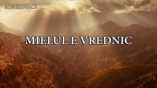 Adi Kovaci  Mielul E Vrednic Official Lyric Video [upl. by Wolf]