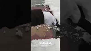 Portable Winter Car Windshield Snow Scraper Mini Ice Shovel Stainless wishhubpk foryou [upl. by Hiasi529]