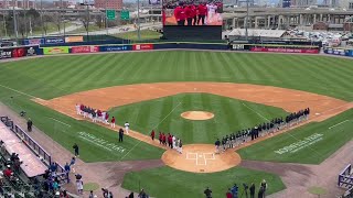 Bisons introductions [upl. by Frannie528]