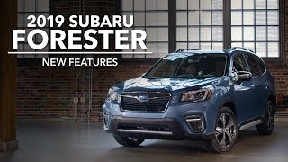 2019 Subaru Forester  New Features [upl. by Inamik]