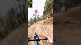 What does it feel like to ride a bike down a mountain at 60 kmh shorts biking extremesports [upl. by Wylie]